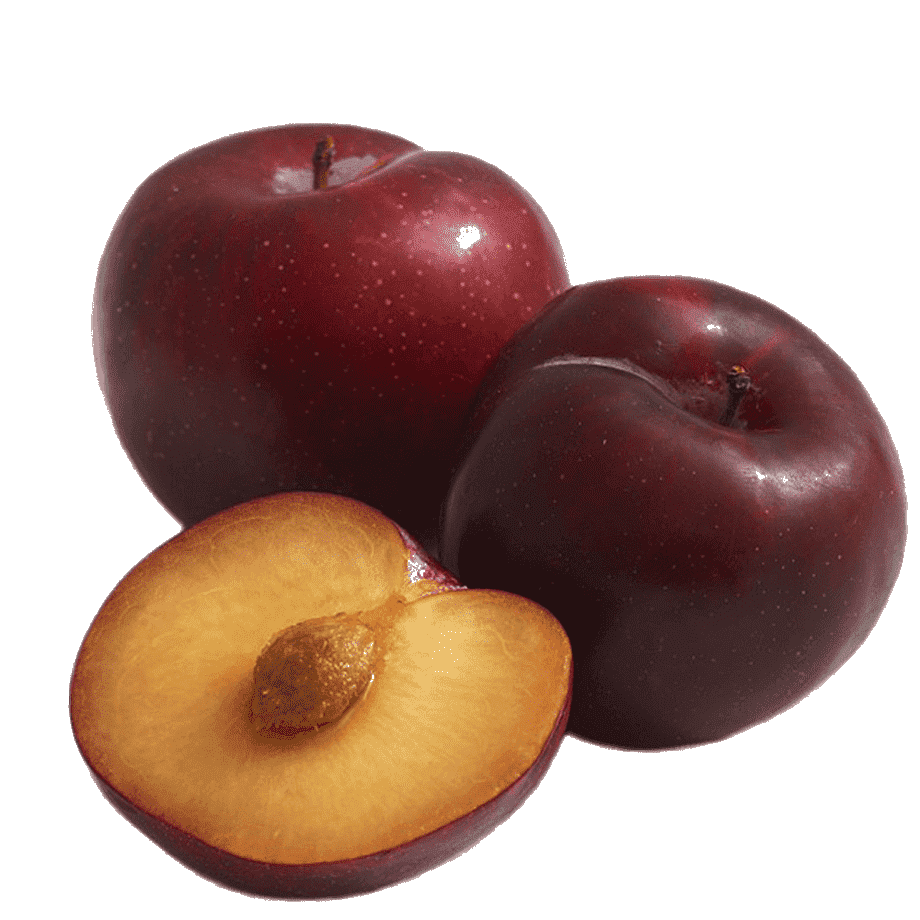 Erik Kırmızı Anjelika